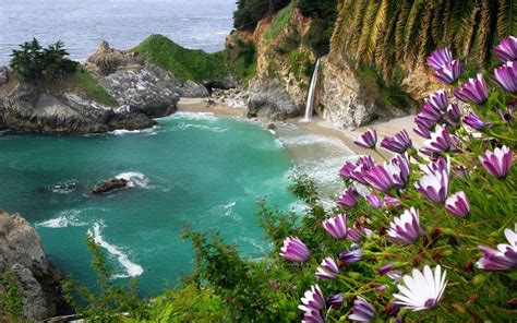 Flowers Tropical Beach Waterfall Ocean Hd Wallpaper Nature And