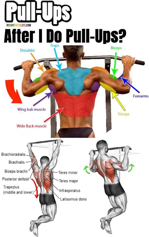 Pull Up Workout Benefits