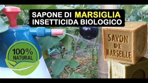 SAPONE DI MARSIGLIA INSETTICIDA BIOLOGICO YouTube