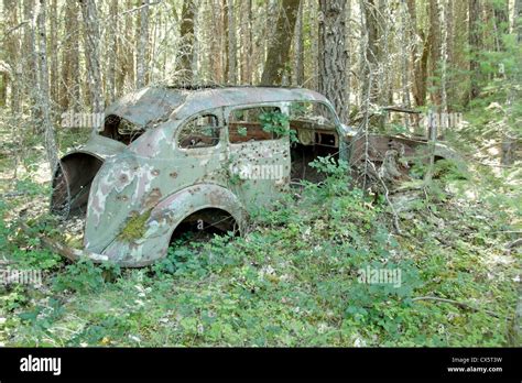 Altes Auto im Wald mit Bäumen und Einschusslöcher ...