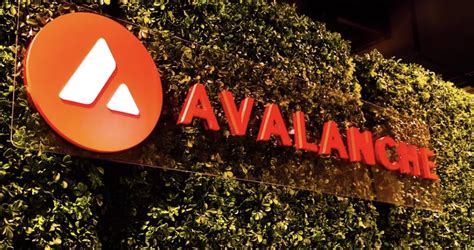 Alibaba Cloud Avalanche Üzerinde Metaverse Launchpad Platformu Kuruyor