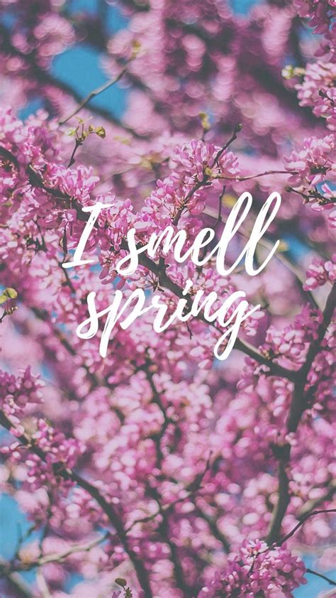 1001 Spring Wallpaper Images For Your Phone And Desktop Computer