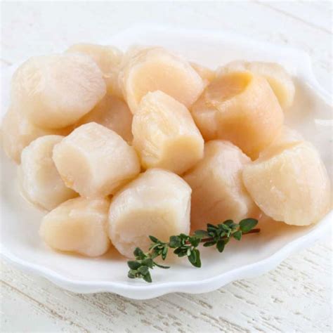 Fresh Sea Scallops For Sale Buy Online Camerons Seafood