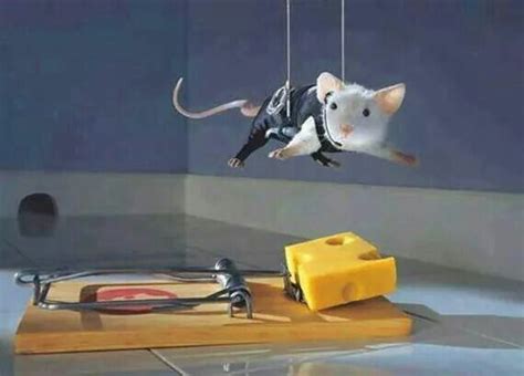 Snipet From The Latest Installment Of Mission Impossible Gatos