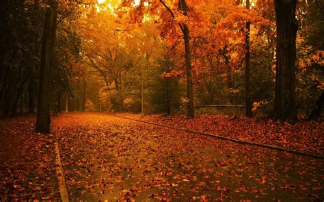 Autumn Wallpapers Widescreen 71 Background Pictures