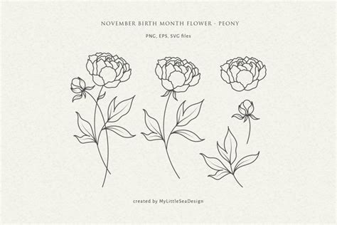 November Birth Flower Images