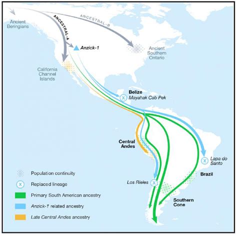 Ancient Dna Maps Early American Migrations In New Detail The