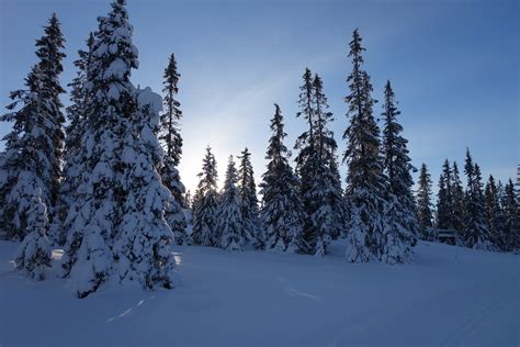 Free Photo Snow Winter Mountain Norway Free Image On Pixabay 612802