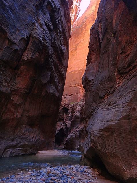 Discover hotels, restaurants, hiking, biking, activities, weather, shopping and much more. Hiking The Narrows In Zion National Park
