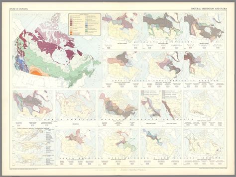 38 Natural Vegetation And Flora David Rumsey Historical Map Collection