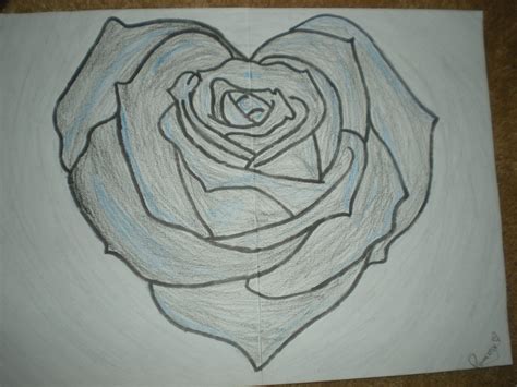 10 Rose Drawings Pencil Drawings Sketches Freecreatives