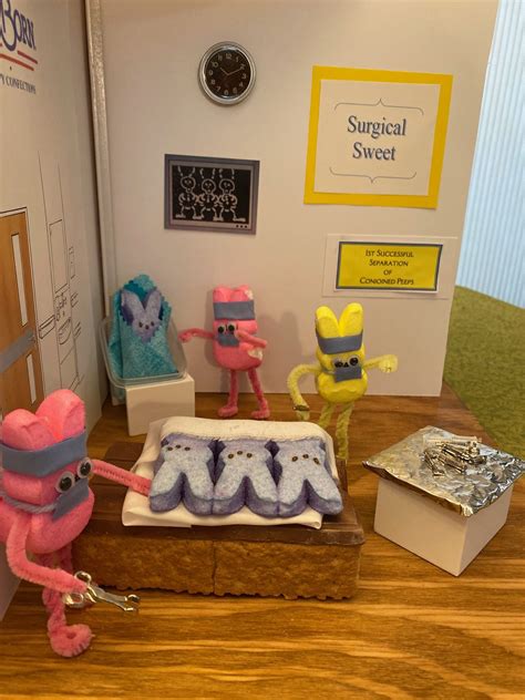 Peeps Diorama Contest At The Library Arts Center