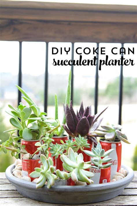 Autumn is the harvest time. DIY Coke Can Succulent Planter - recycled coke can craft ideas