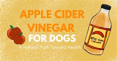 Apple Cider Vinegar For Dogs A Natural Path Toward Health With Images
