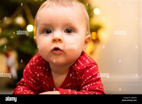 Toddler Baby Girl Sitting Under The Christmas Tree Baby Portrait Stock