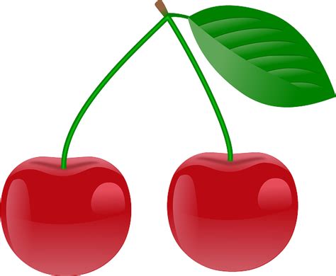 Tube Fruit Cerises Png Dessin Cherry Drawing Png The Best Porn Website