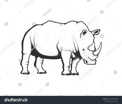 Rhinoceros Outline Isolated Vector Cartoon Rhino Vetor Stock Livre De