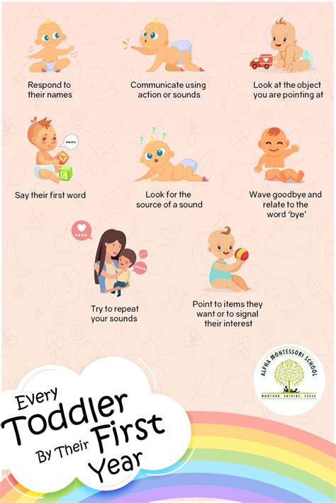 Toddlers Expressive Language By Their 1st Year Expressive Language