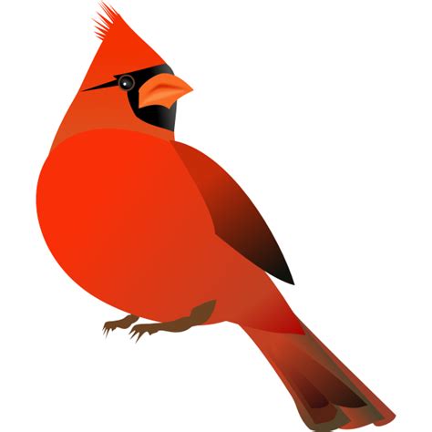 Red Cardinal Free Svg