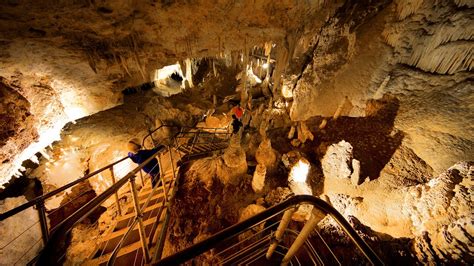 Mammoth Cave Boranup Western Australia Attraction Au