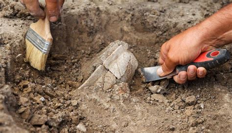 Archaeological Excavations Archaeologists Work Dig Up An Ancient Clay Artifact With Special