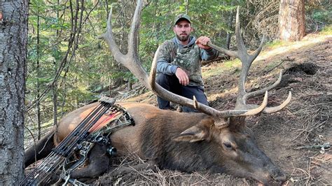 Bow Hunting Public Land Archery Elk Hunt Youtube
