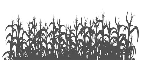 Cornfield Png 20 Free Cliparts Download Images On Clipground 2024