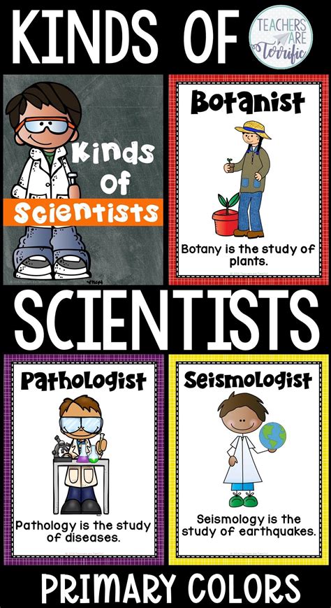 Different Kinds Of Scientists And What They Study Study Poster