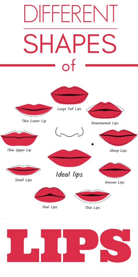 different lip shapes mokasinberry