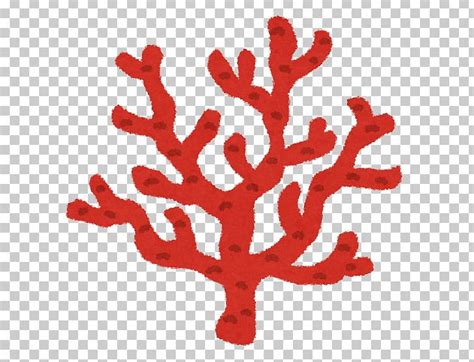 Coral Clipart Png 10 Free Cliparts Download Images On Clipground 2021