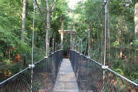 New Carolina Thread Trail And Bridge Opens Nov 5 At Sallys Y Preserve
