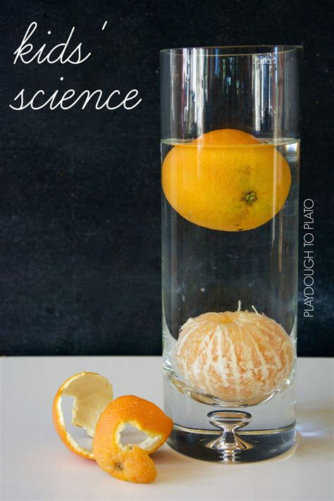 Orange Buoyancy Science Experiment Playdough To Plato