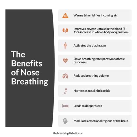 Principle 1 — The Breathing Diabetic