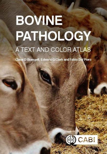 Bovine Pathology A Text And Color Atlas By Claus D Buergelt Edward G
