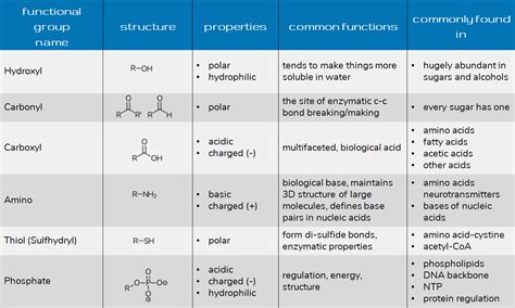 Functional Groups For Health And Bio Majors Chemistry Help Center