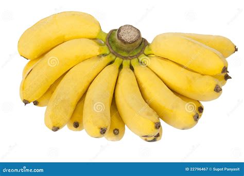 Bunch Of Bananas Isolated Stock Image Image Of Peel 22796467