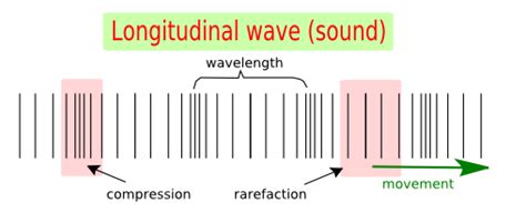 A good longitudinal wave example is a sound wave that is. Longitudinal waves - Science online