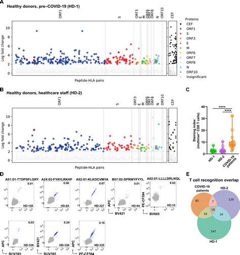 Sars Cov 2 Genome Wide T Cell Epitope Mapping Reveals Immunodominance