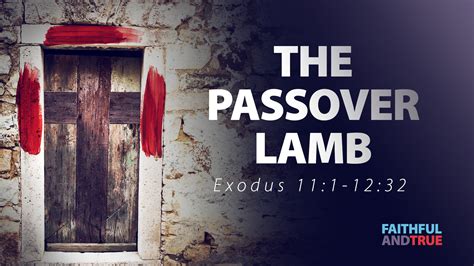 Passover Lamb Exodus