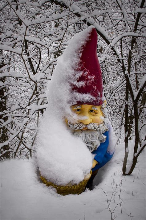 Garden Gnome In Winter No85 Photograph By Randall Nyhof