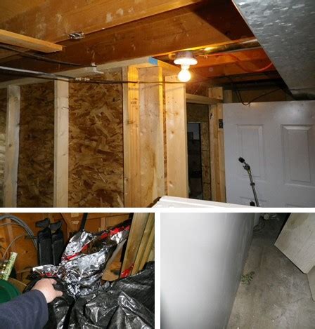 The best grow room set up. Basement storage room or grow box? - About the House ...