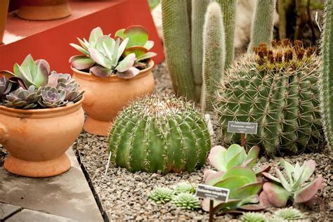Frida kahlo's work was influenced by traumatic physical and psychological events from her. Visit Frida Kahlo's Recreated Garden to See the Plants ...