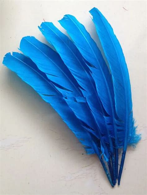 Free Shipping 10pcs Wholesale 25 30cm Blue Color Real Natural Turkey