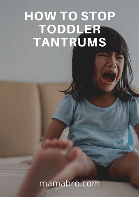How To Stop Toddler Tantrums Mama Bro