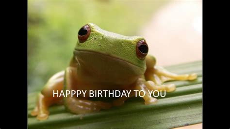 Funny Frog Singing Happy Birthday Youtube