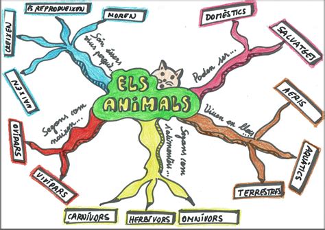 Mapa Mental De Animales
