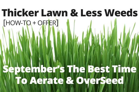 When learning how to overseed a lawn you must also pay close attention to when you do it. 3 Things To Know About Aeration & Overseeding - Lake ...