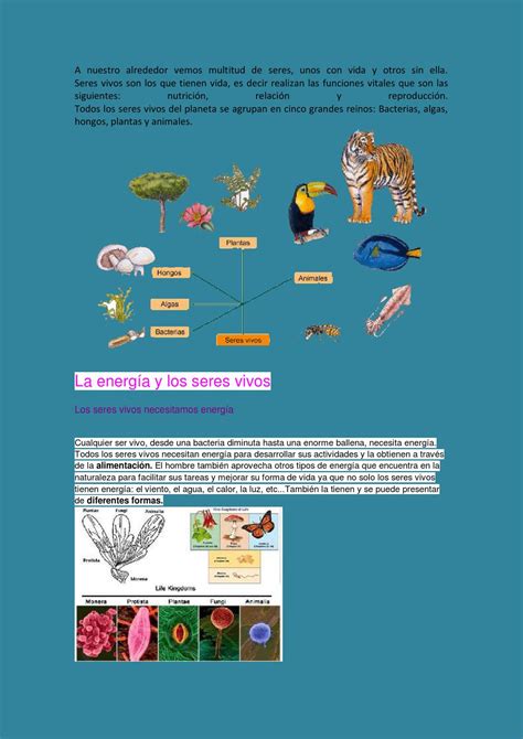 Los Seres Vivos By Eliecer De Jesus Gallego Issuu