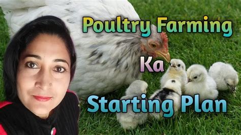 poultry farming ka starting plan murgi farm shuru karne se pahle kya kare poultry farming