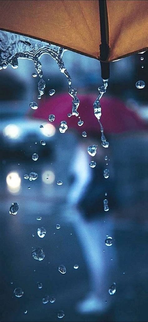 Pin By Danilo Firpo On Iphone X Rain Wallpapers Dew Drop Photography